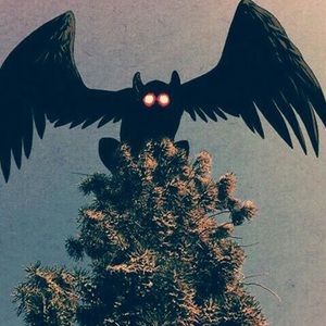 Meet your Posher, Charles